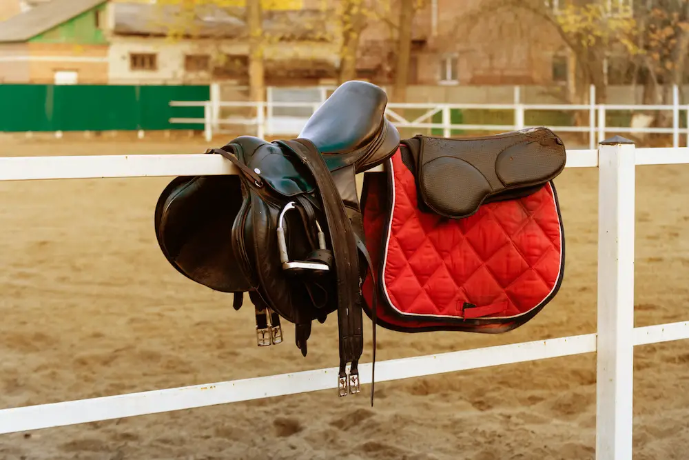 best saddle pad