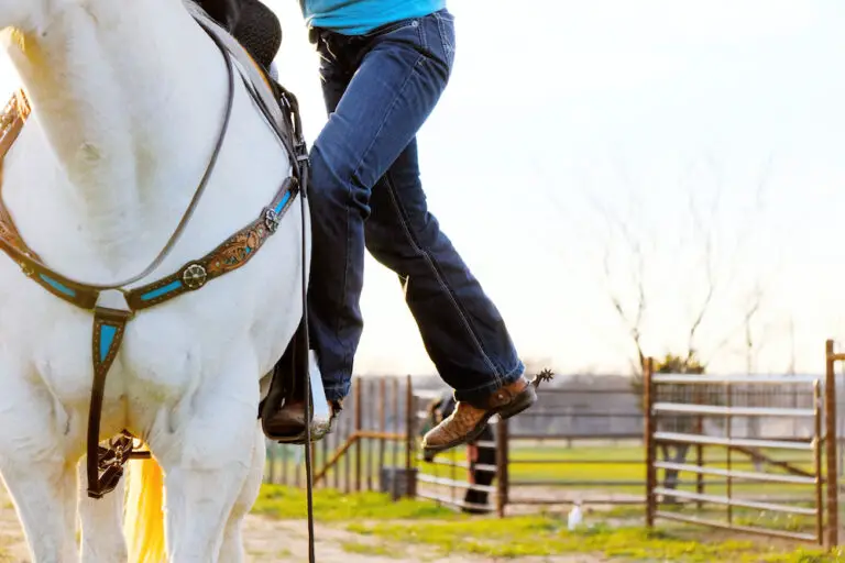 Best Horse Riding Jeans for Men & Women Tack & Bridle